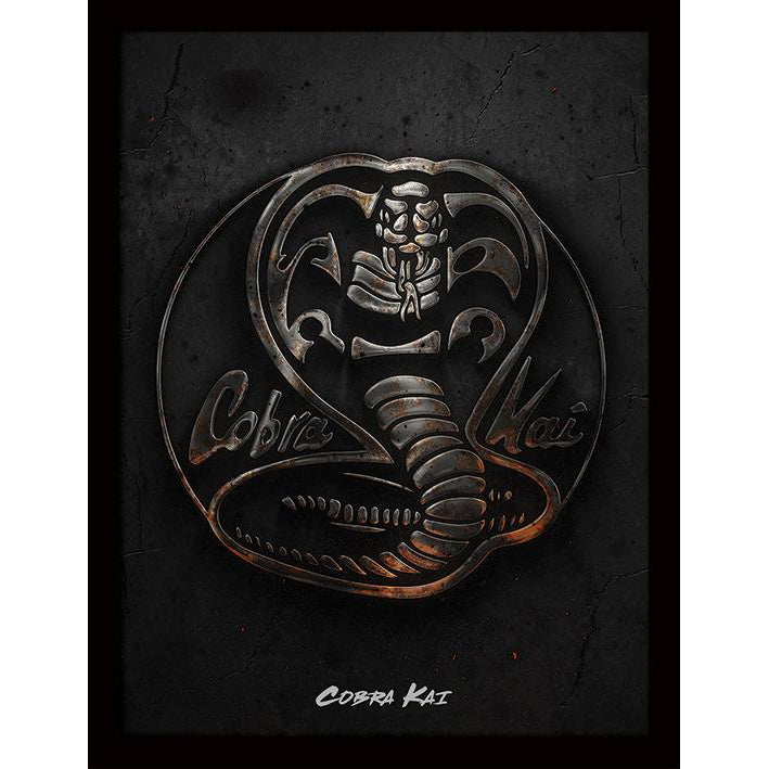 Cobra Kai Metal Design Framed Print