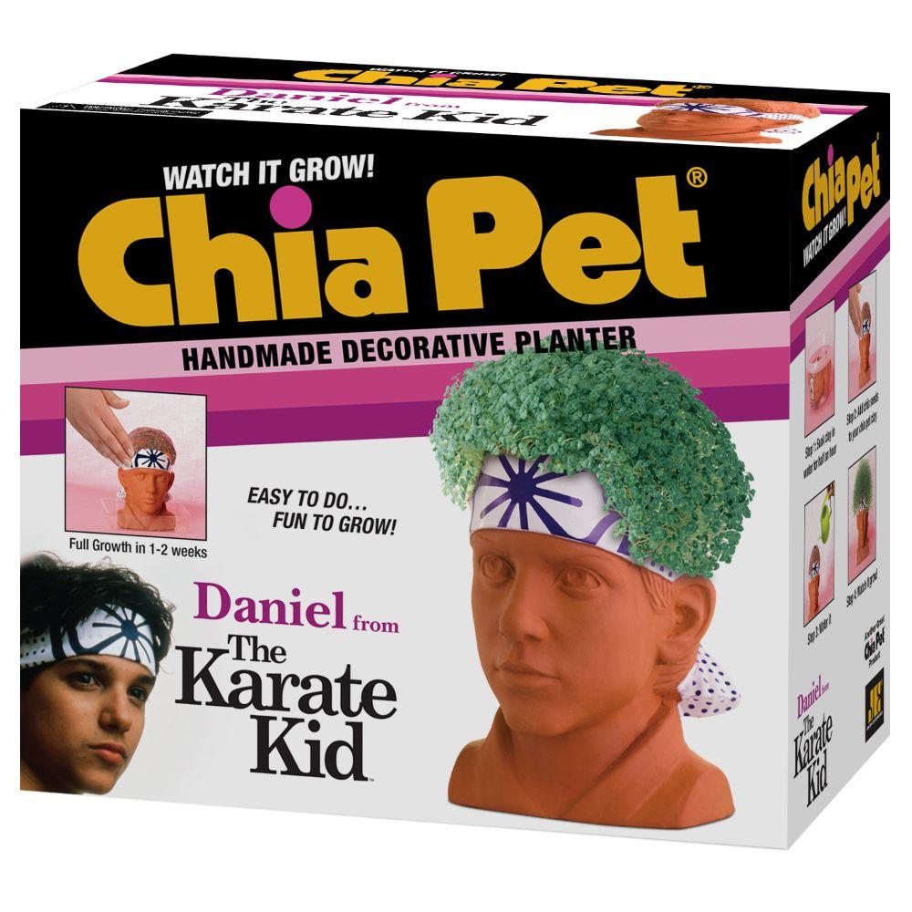 The Karate Kid Daniel Chia Pet